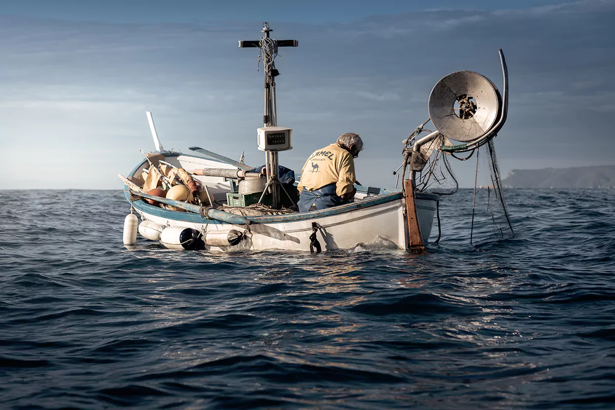 Attività di pesca nel savonese