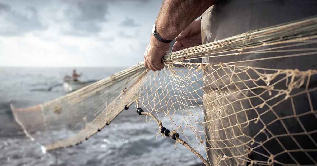 Dimostrazione di pesca con la rete a sciabica