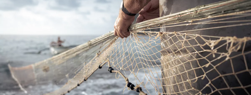 Dimostrazione di pesca con la rete a sciabica
