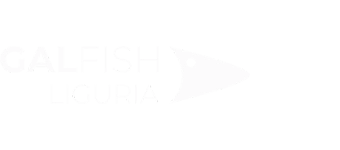 GAL FISH Liguria