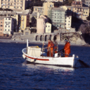 sori rossettara04